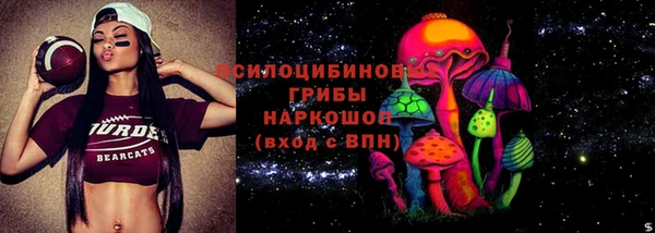 мяу мяу мука Белокуриха
